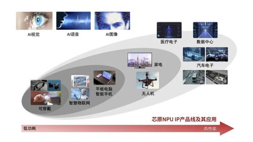 國內半導體IP與產品布局全景圖 網絡技術咨詢視角